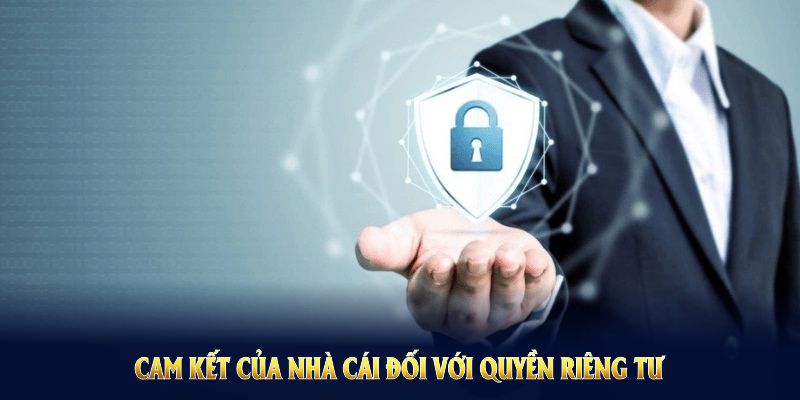 Công nghệ và quy trình kiểm tra dữ liệu tại SV388 cực chi tiết