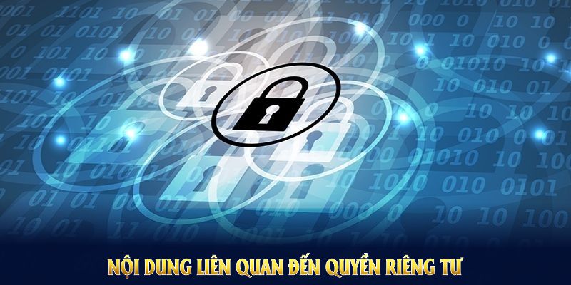 Các khía cạnh cụ thể của quyền riêng tư SV388